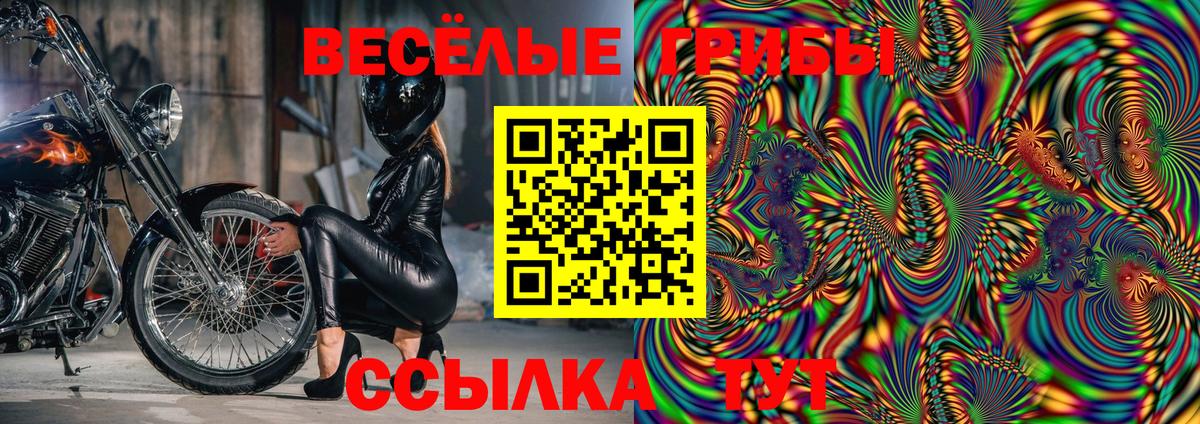 Псилоцибиновые грибы прущие грибы Минусинск